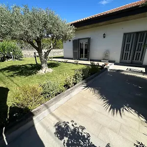 Adriana Alle Pendici Dell'etna , Mascalucia Italia